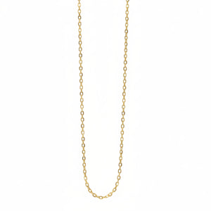 fine sparkly chain in 14K yellow gold